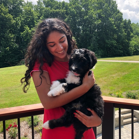 Meet your Posher, Norah - Picture 1 of 1